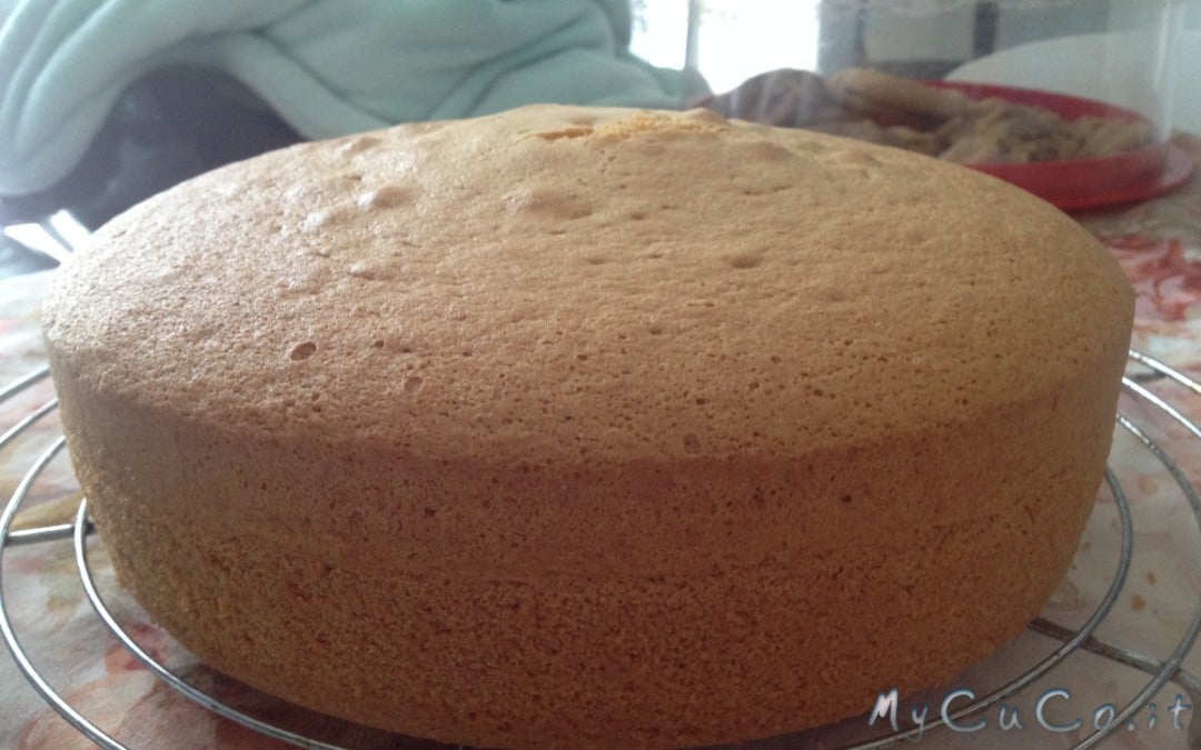 Pan di Spagna col Cuisine Companion