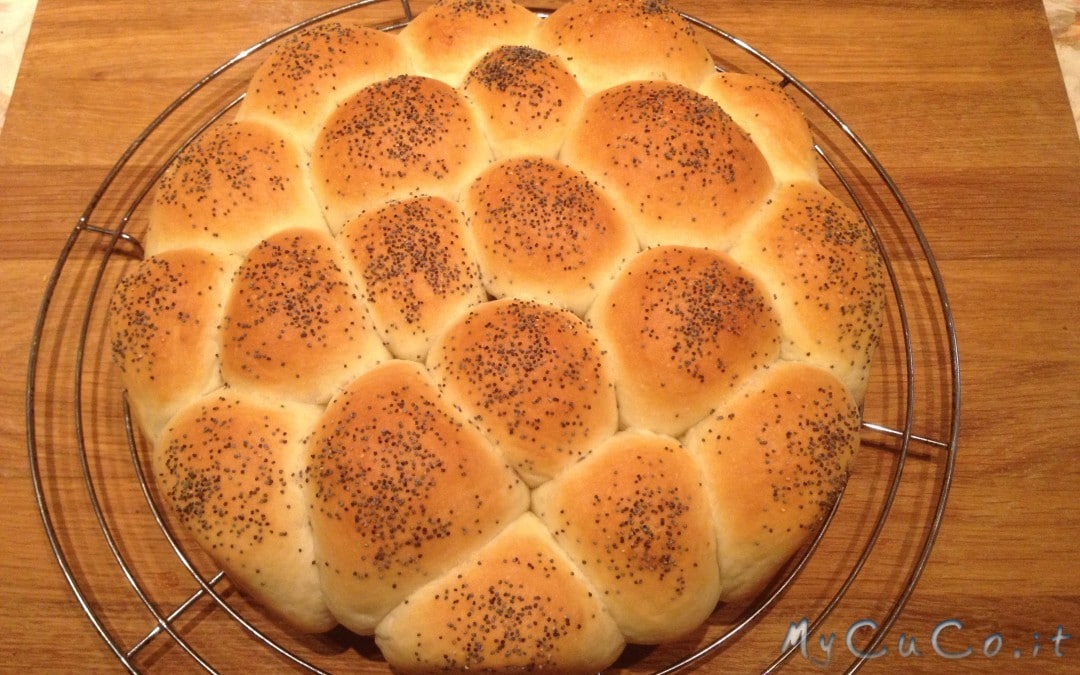 Torta di panini morbidi superveloce col Cuisine Companion