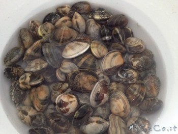 Spurgate le vongole