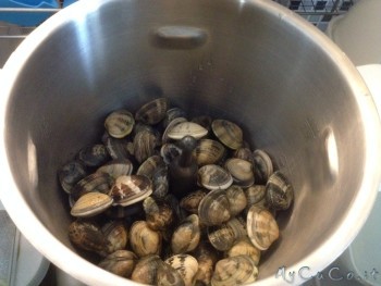 Vongole nel CuCo