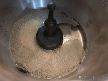 Acqua, lievito e zucchero