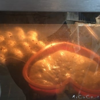 Danubio nel forno