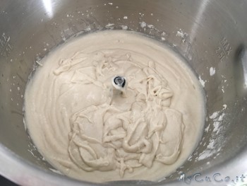 A inizio lievitazione