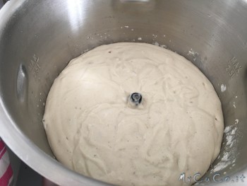 Impasto lievitato