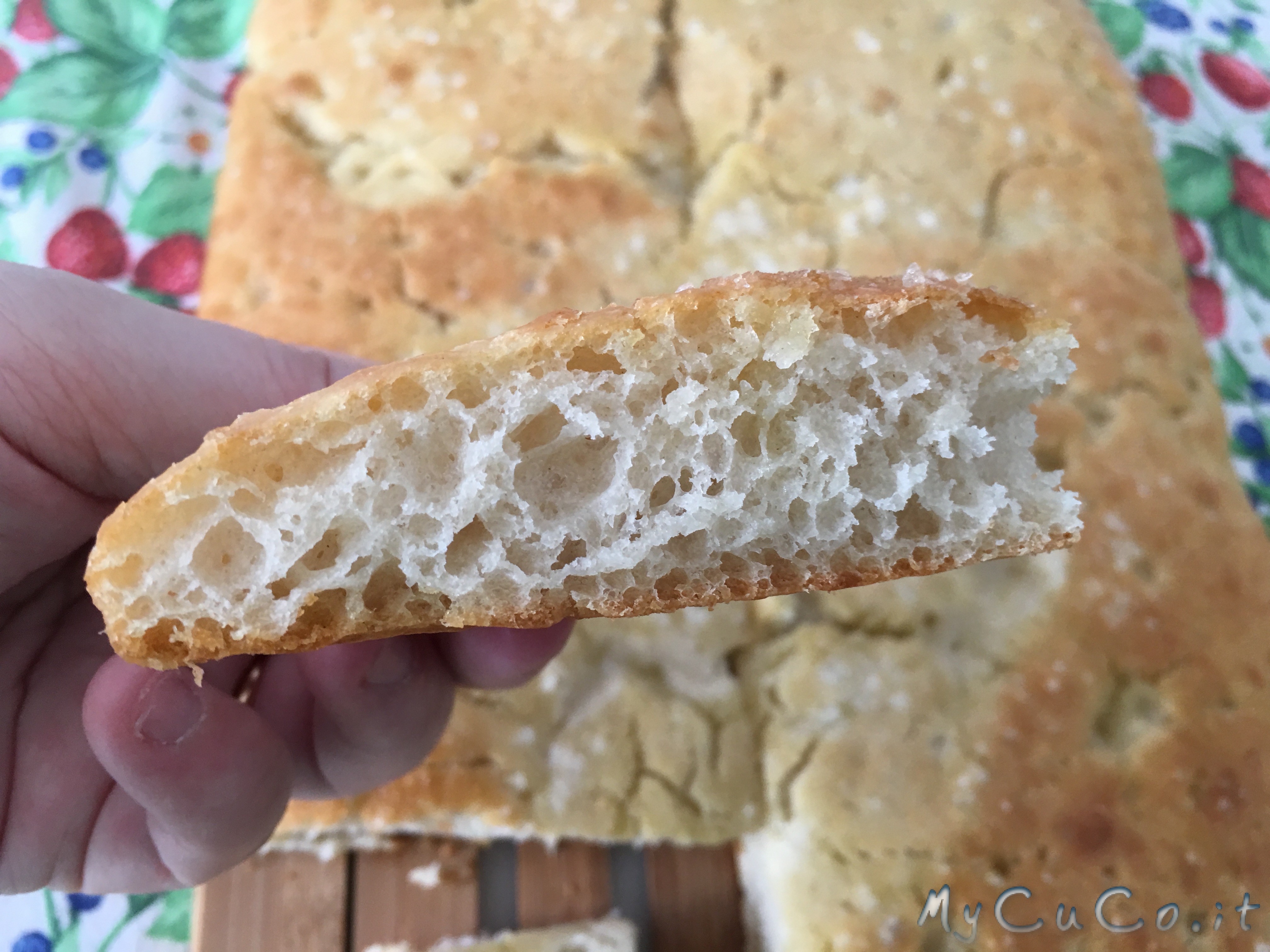 Focaccia di nonna Stephy super veloce