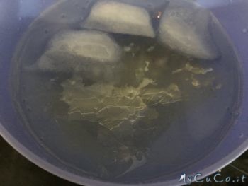 Fogli di gelatina a bagno