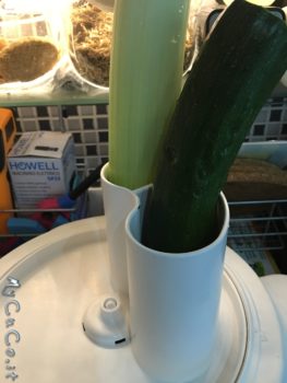 Zucchino e porro