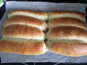 Panini per hot dog appena sfornati