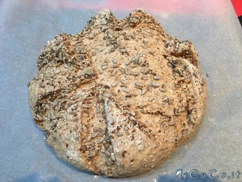 Pane integrale con semi