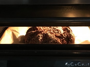 Pane integrale con semi