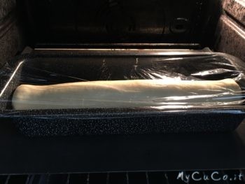 in forno a lievitare