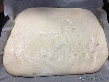 Dopo 8 ore di lievitazione