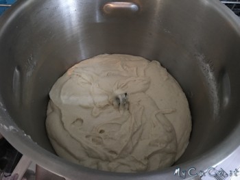 Impasto ciabatta veloce dopo la lievitazione
