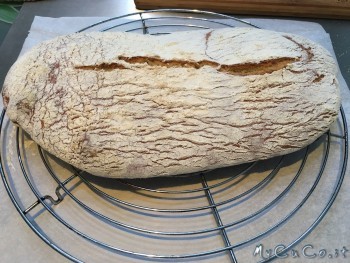 Ciabatta veloce col CuCo