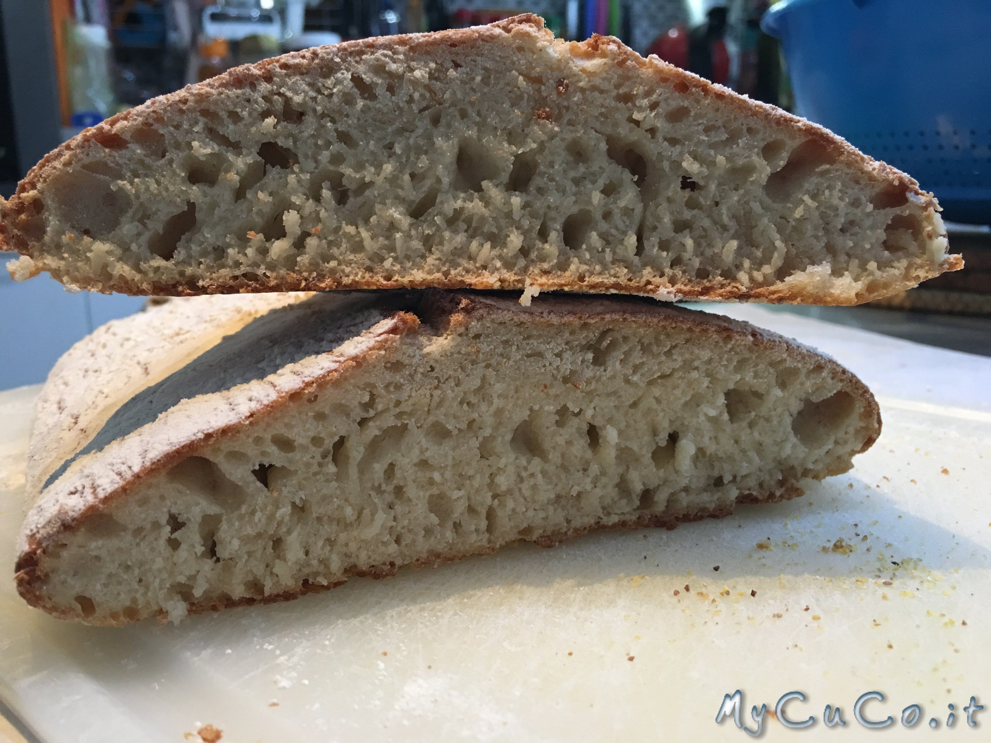 Ciabatta veloce col CuCo