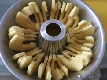 MyCuCo, torta di mele al vapore, mele mella tortiera