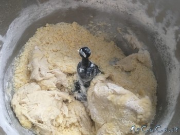 Colomba, My CuCo