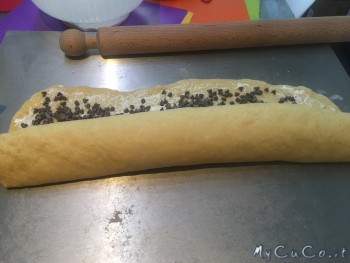 Colomba, My CuCo