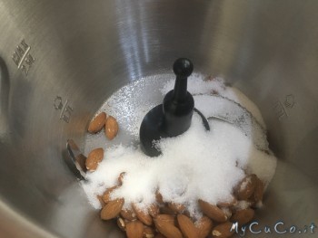 Colomba, My CuCo