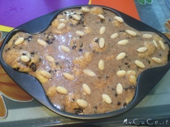 Colomba, My CuCo