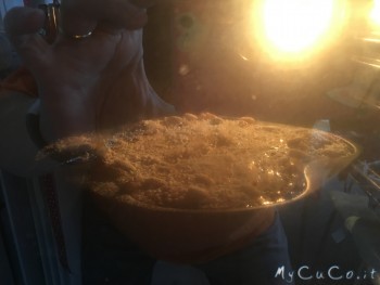 Colomba, My CuCo
