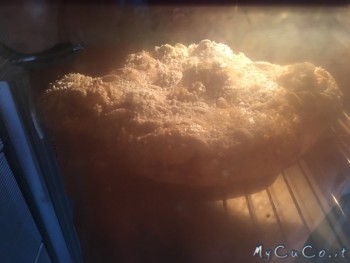 Colomba, My CuCo