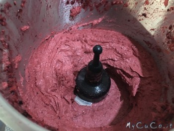 Sorbetto ai frutti di bosco veloce, My CuCo