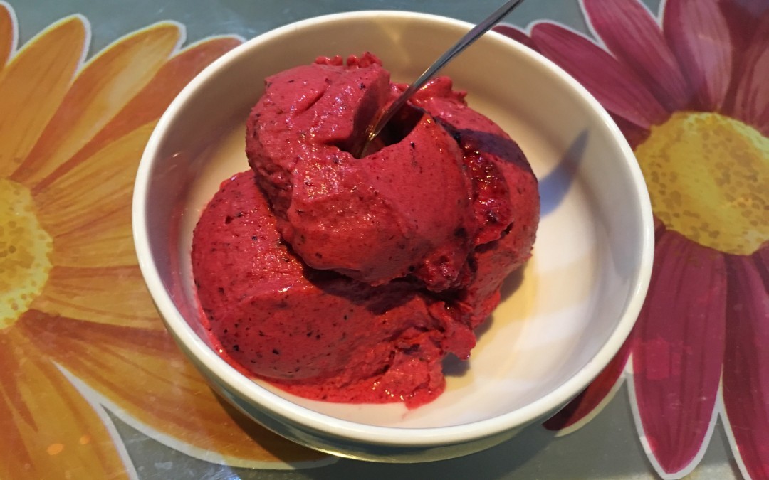 Sorbetto veloce e light ai frutti di bosco con Cuisine e i-Companion Moulinex