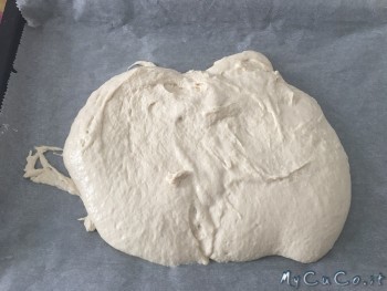 Focaccia veloce con manitoba, My CuCo