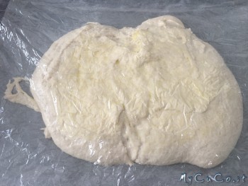 Focaccia veloce con manitoba, My CuCo