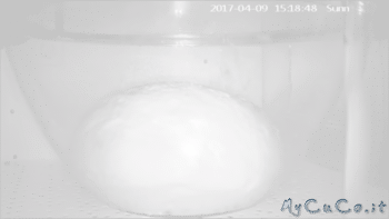 Pane senza lievito, My CuCo