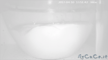 Pane senza lievito, My CuCo