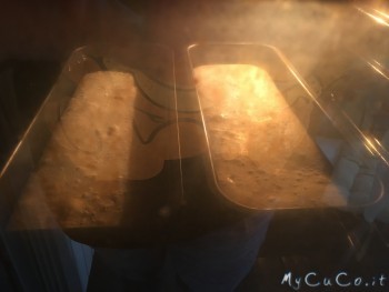 Pane senza lievito, My CuCo