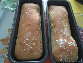 Pane senza lievito, My CuCo