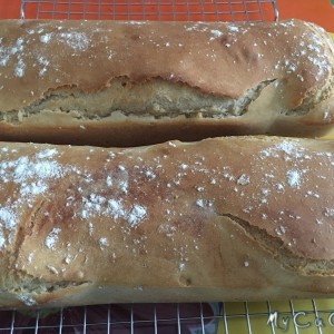 Pane senza lievito, My CuCo