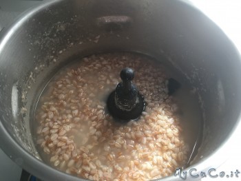 Farro in insalata, MyCuCo.it