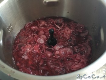 Marmellata di cipolle rosse - MyCuCo.it
