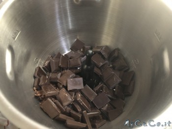 praline alle noci col Cuisine Companion -Mycuco.it
