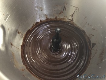 praline alle noci col Cuisine Companion -Mycuco.it