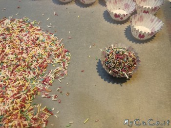 praline alle noci col Cuisine Companion -Mycuco.it