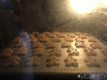 Biscotti di pan di zenzero -Mycuco.it