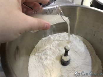 Pizza tradizionale napoletana impastata con Companion Moulinex - mycuco.it