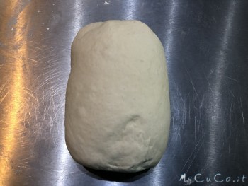 Pizza tradizionale napoletana impastata con Companion Moulinex - mycuco.it
