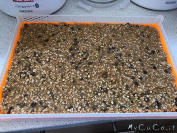 barrette mela, avena e cioccolato
