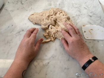 Impasto con farina di tipo 1 - MyCuCo.it