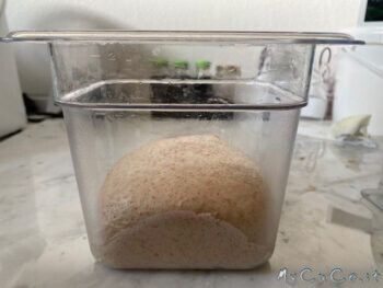 Impasto con farina di tipo 1 - MyCuCo.it