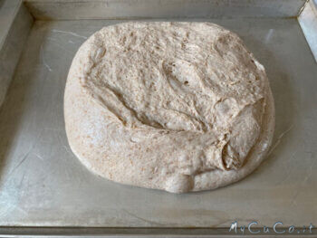 Impasto con farina di tipo 1 - MyCuCo.it