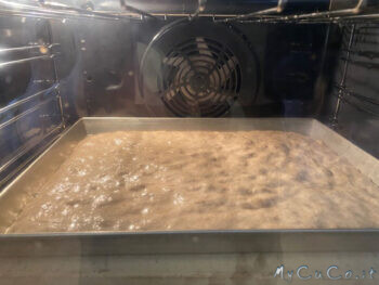 Impasto con farina di tipo 1 - MyCuCo.it