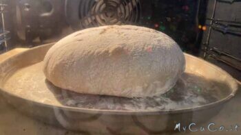 Ho coperto la ciotola con un canovaccio e ho fatto lievitare per 45 minuti lontano da correnti d'aria. Va bene anche in forno spento e non preriscaldato.