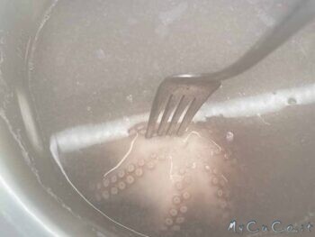 Polpo con patate - MyCuCo.it